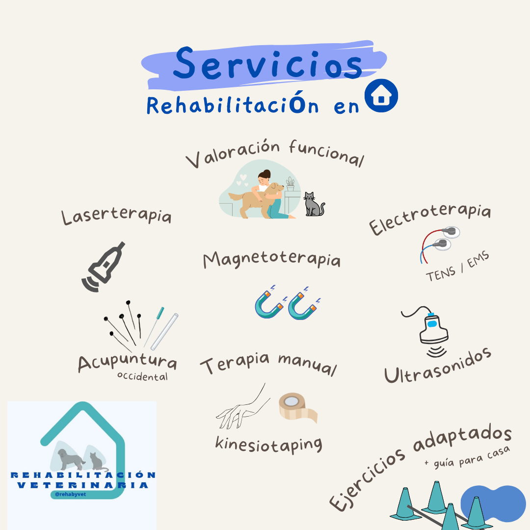 serviciosrehabyvet - Rehabyvet
