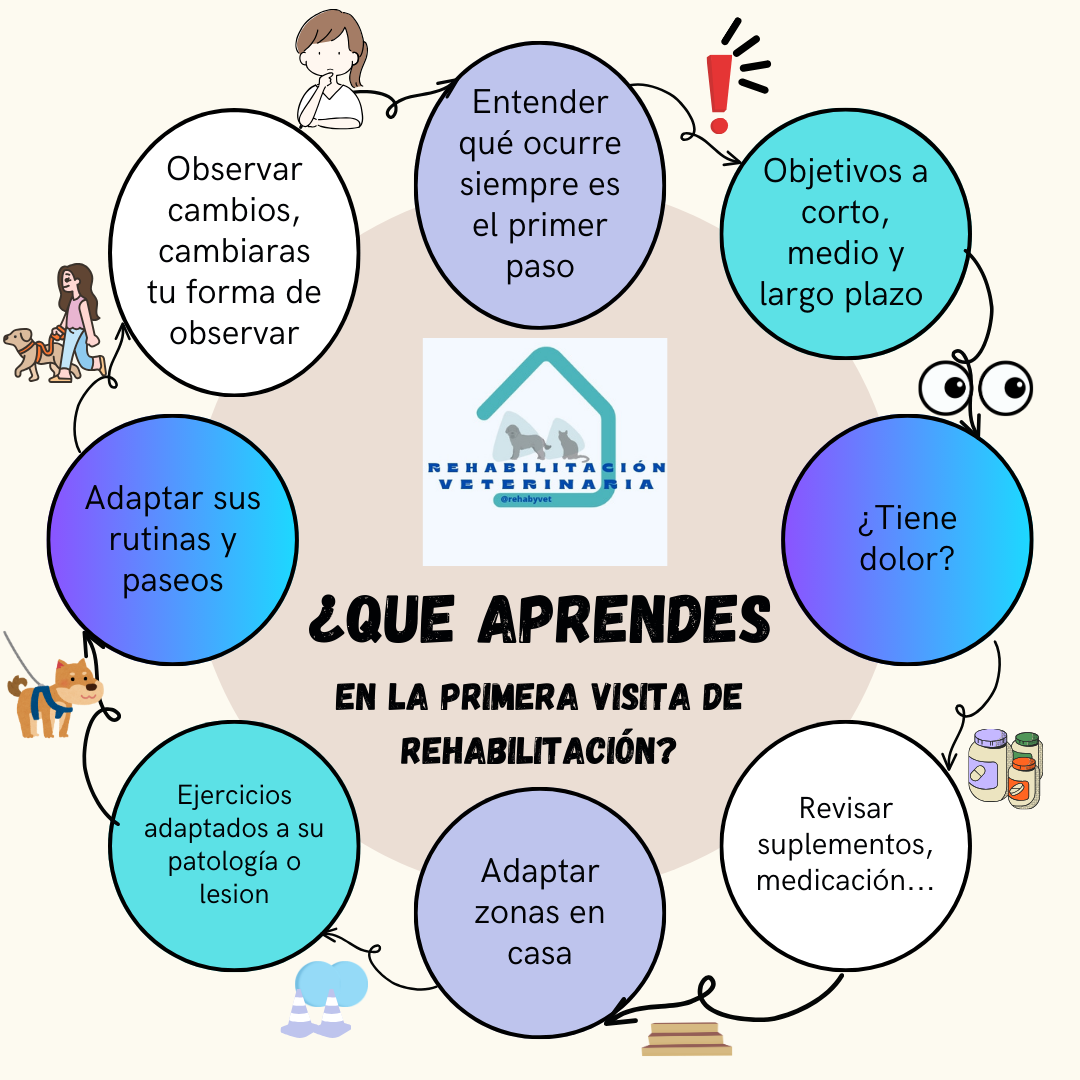 ¿Que aprendesvisita1 - Rehabyvet